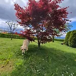 Appartamento Bella Zirovnica