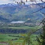 Bella * Zirovnica