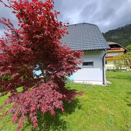 Apartament Bella Zirovnica