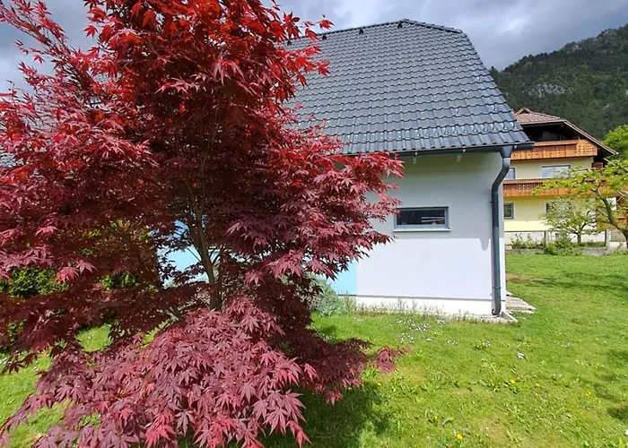 Apartament Bella Zirovnica