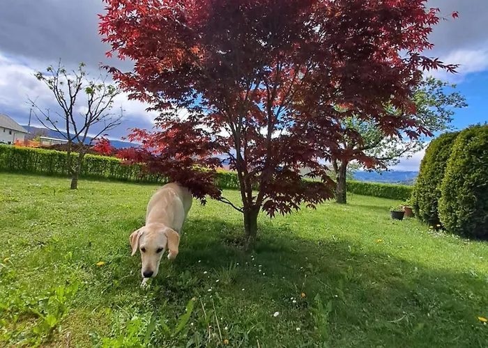 Апартаменты Bella Жировница